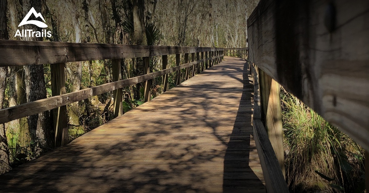 Highlands Hammock List AllTrails