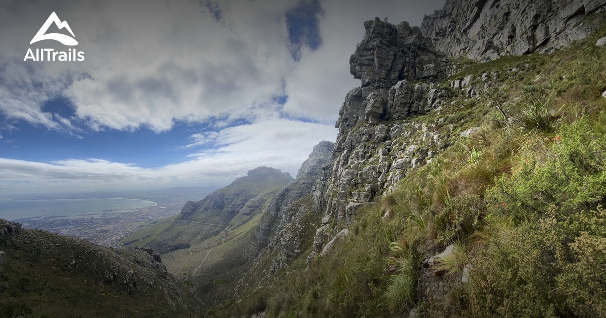Top Trail Runs in Table Mountain National Park List AllTrails