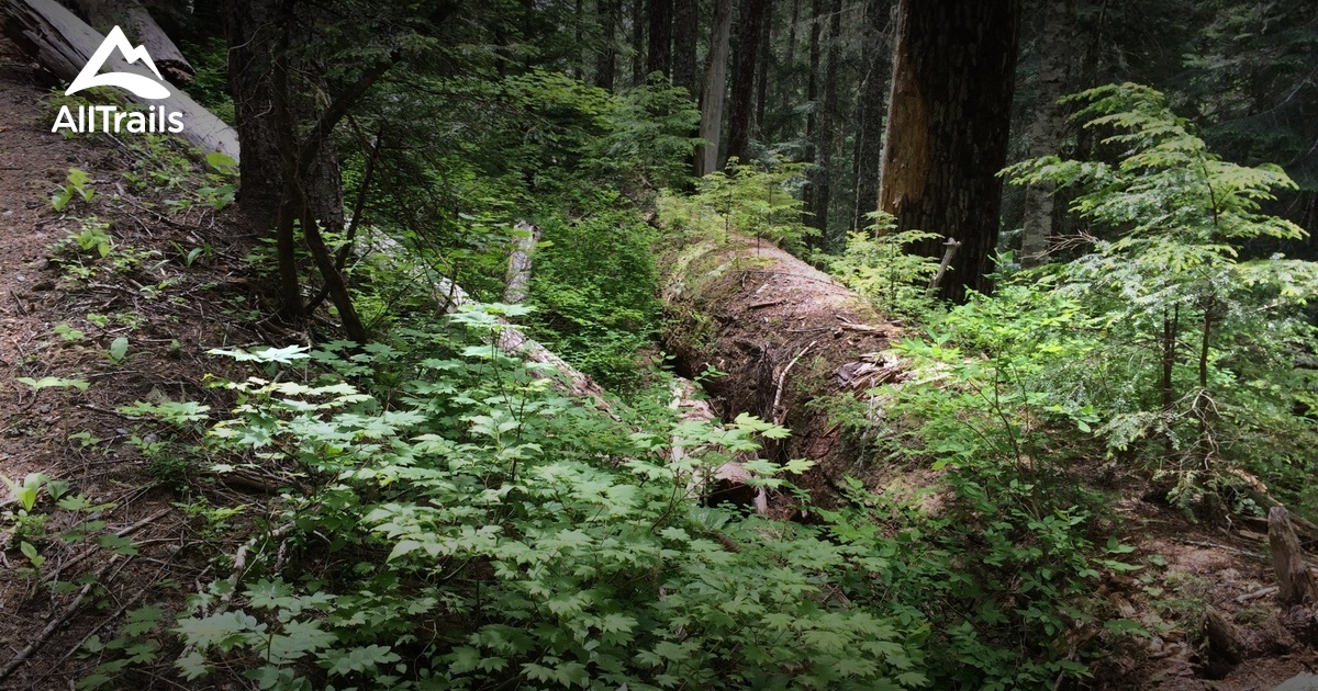 Gifford Pinchot List AllTrails