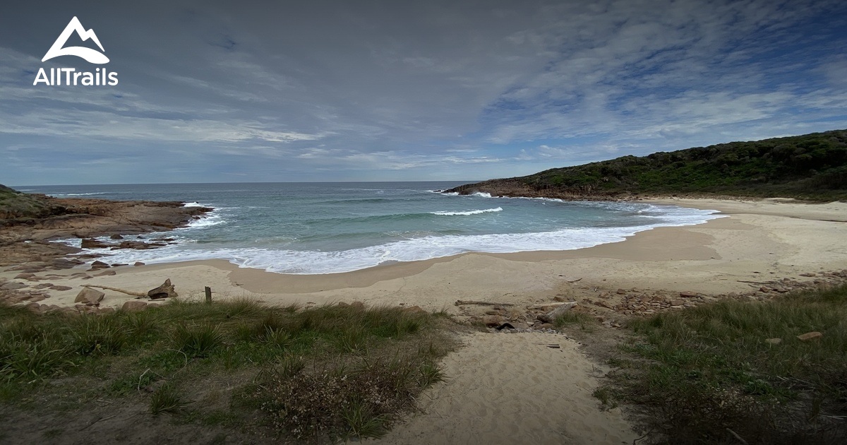 Best Beach Trails in Boat Harbour AllTrails