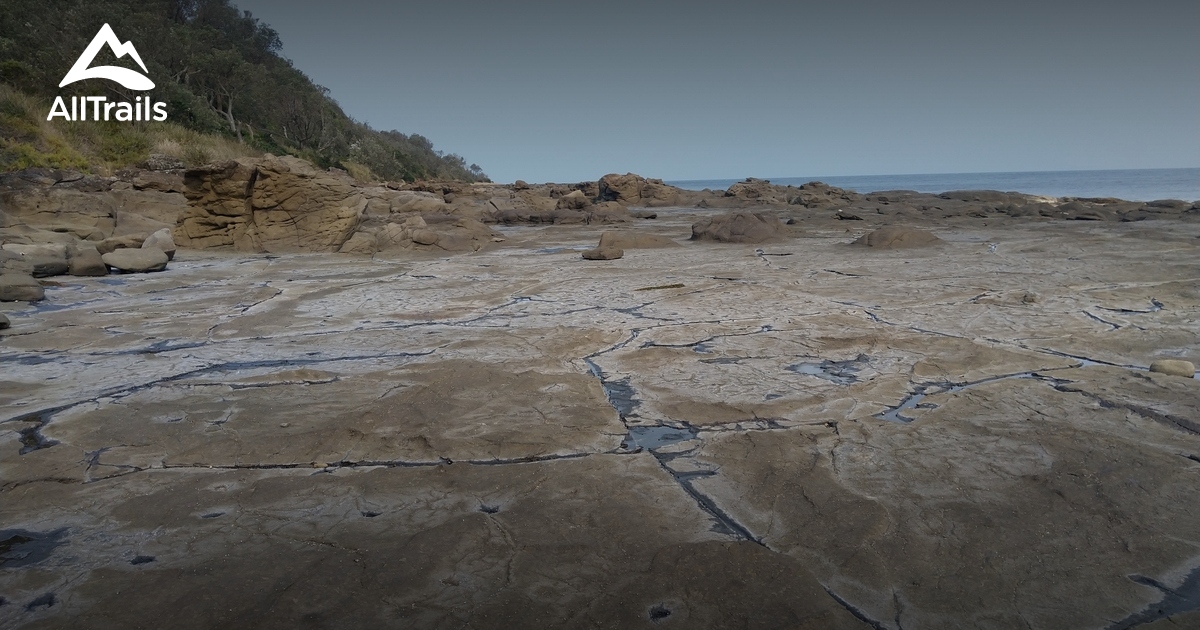 Best Hikes and Trails in Broulee Mossy Point AllTrails