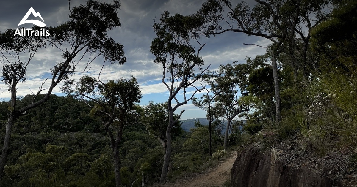 Best Hikes and Trails in Canoelands AllTrails