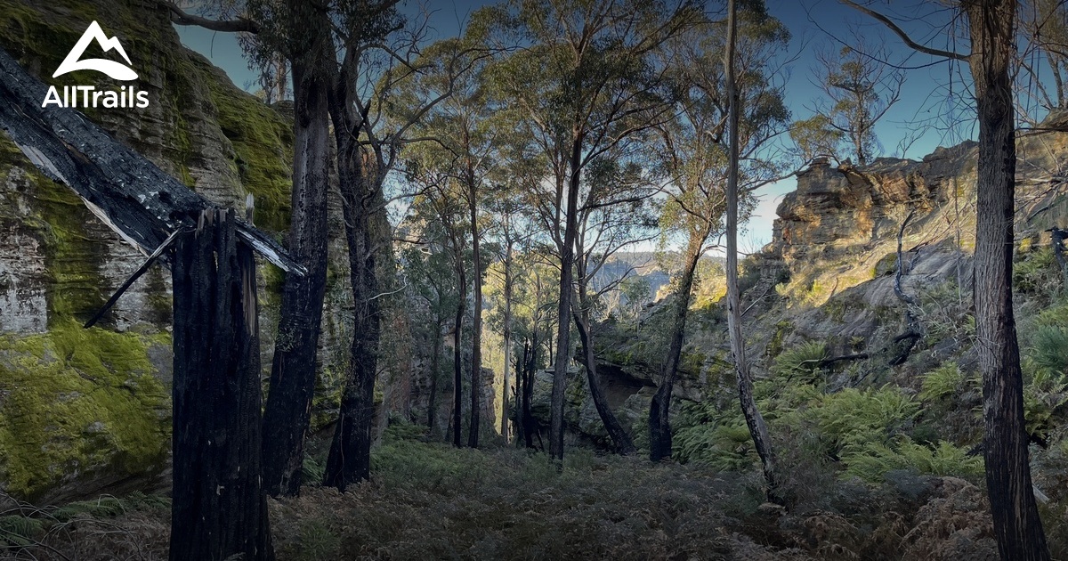 Best Hikes and Trails in Marrangaroo AllTrails