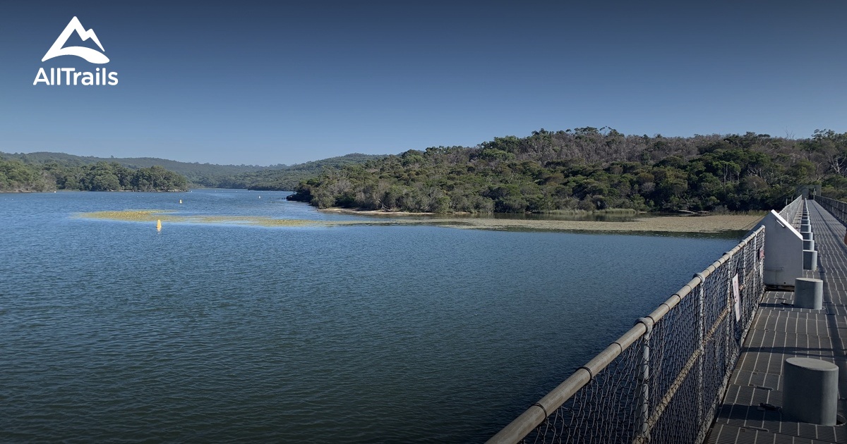 Best Hikes and Trails in North Harbour AllTrails