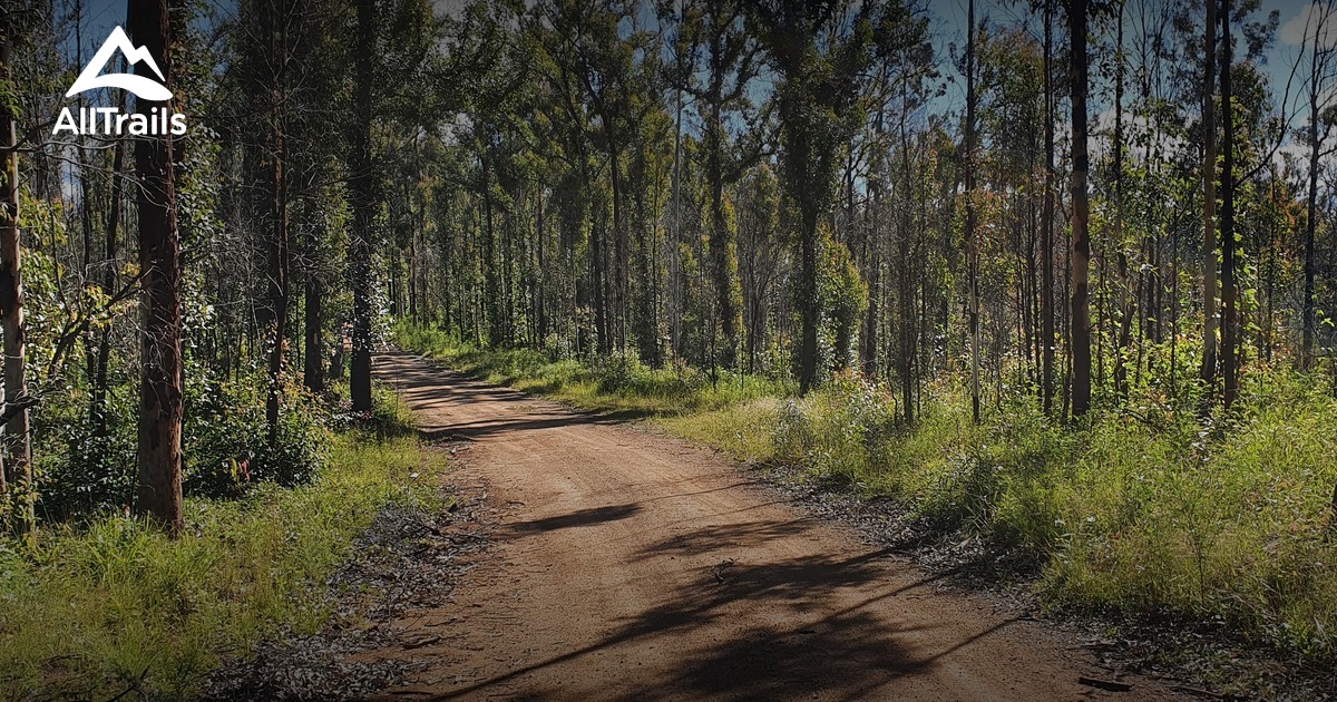 Best Hikes and Trails in Rainbow Flat AllTrails