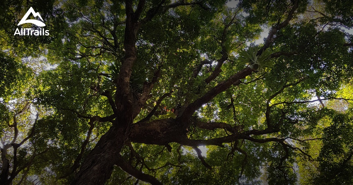 Best hikes and trails in Repton AllTrails