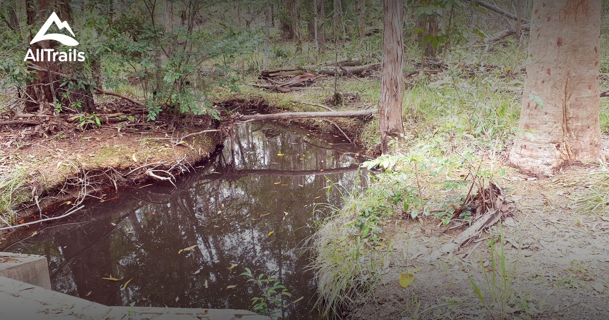 Best trails in Caboolture, Queensland | AllTrails