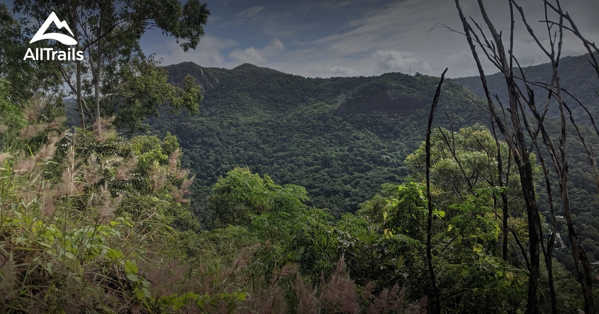 Cairns intelligence overview