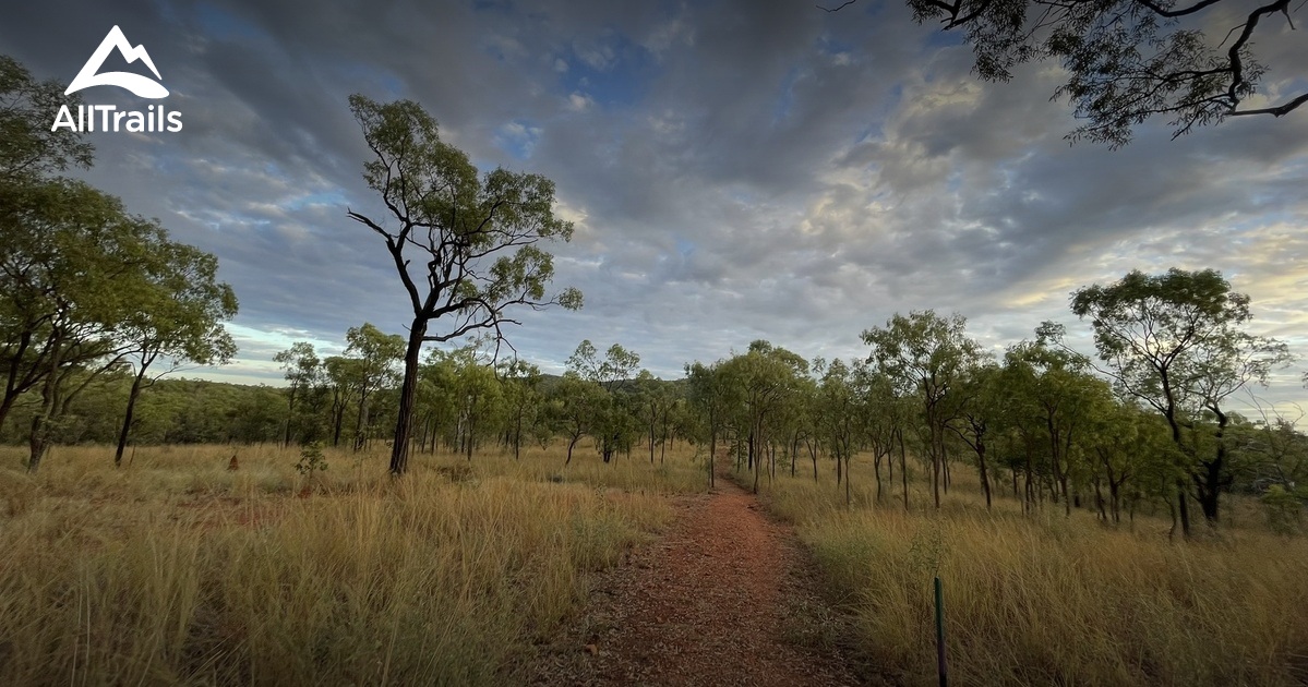 Best Walking Trails in Cobbold Village AllTrails