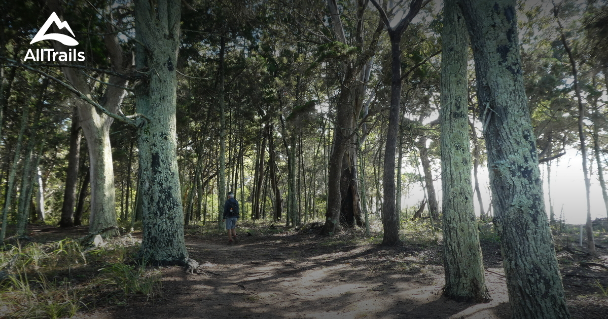 Best Walking Trails in Coochiemudlo Island AllTrails
