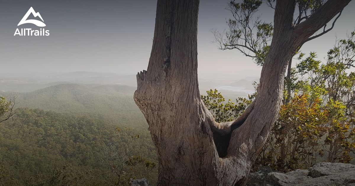 Best walking trails in Jollys Lookout AllTrails