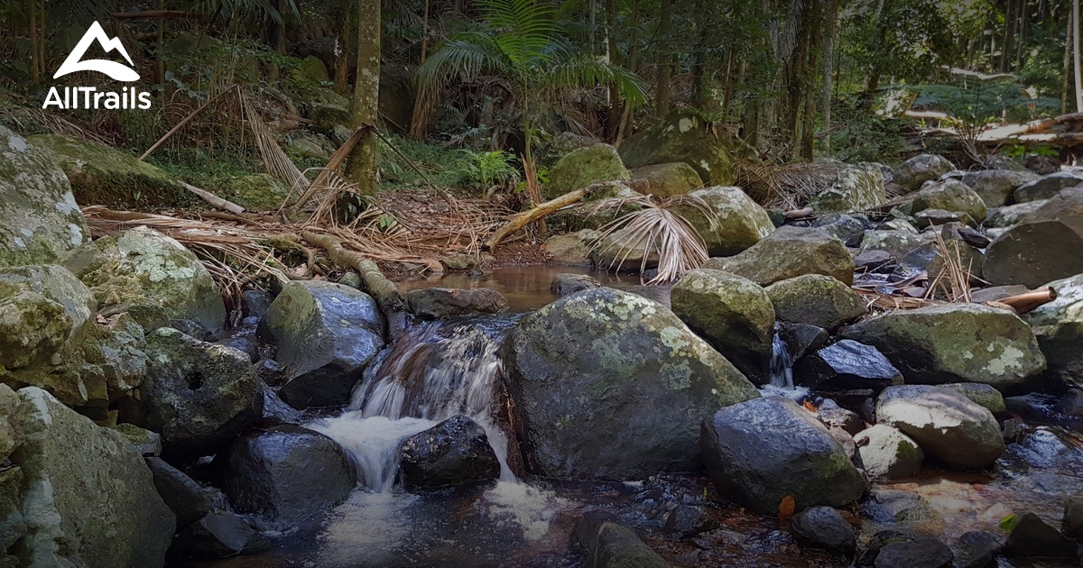 Best Trails near Mount Tamborine, Queensland Australia AllTrails
