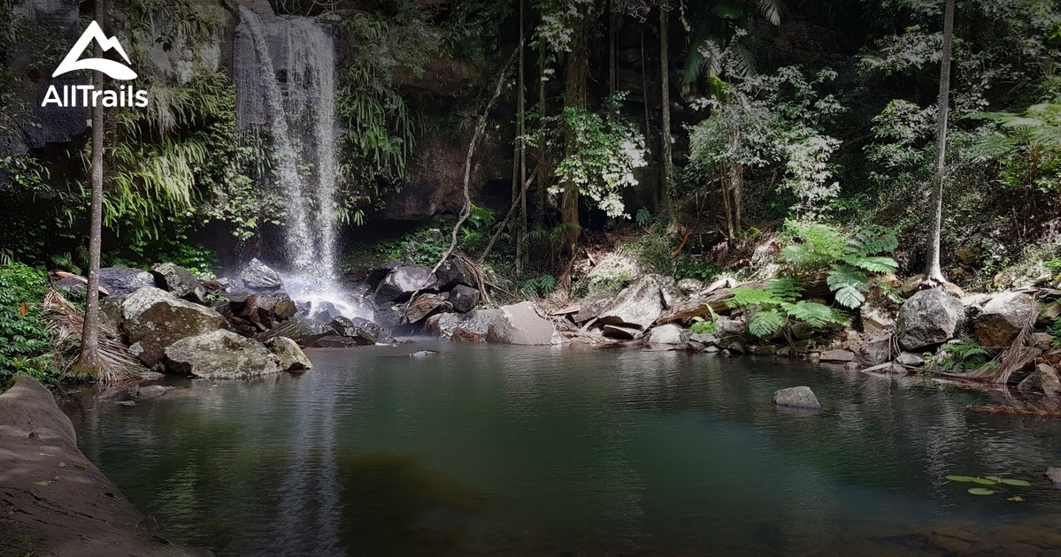 Best Trails near Mount Tamborine, Queensland Australia AllTrails