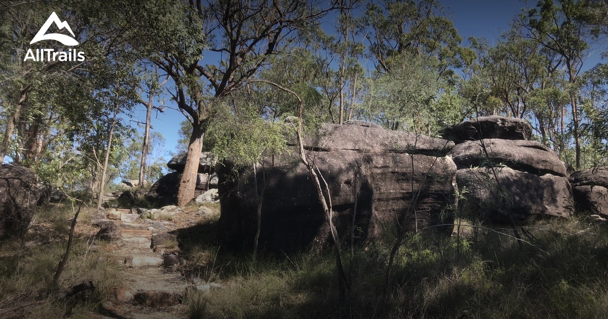 Best Hikes and Trails in Springwood AllTrails