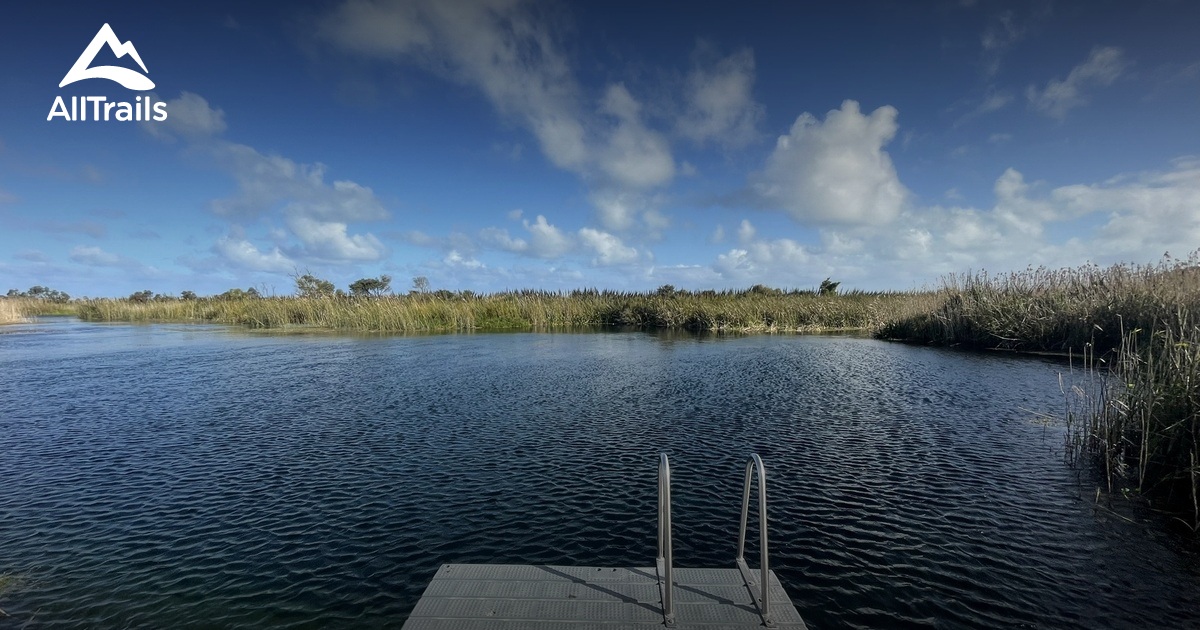 2023 Best Wildlife Trails in Eight Mile Creek AllTrails