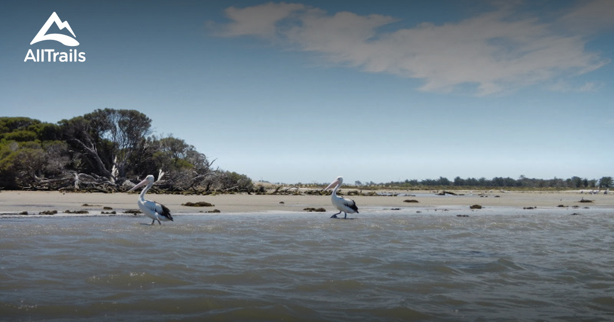 Best Hikes and Trails in Hindmarsh Island AllTrails