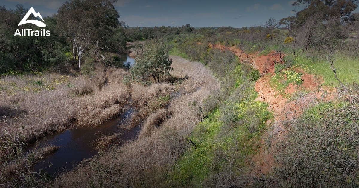 Best Hikes and Trails in Redhill AllTrails