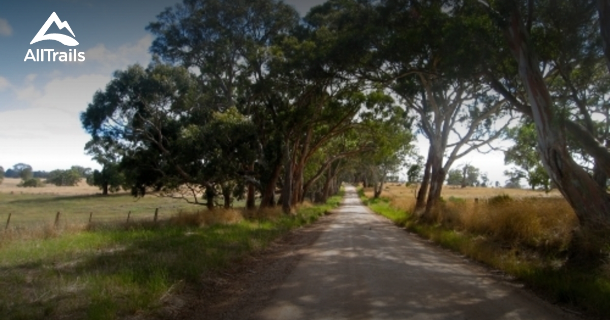 Best Hikes and Trails in Woodside AllTrails