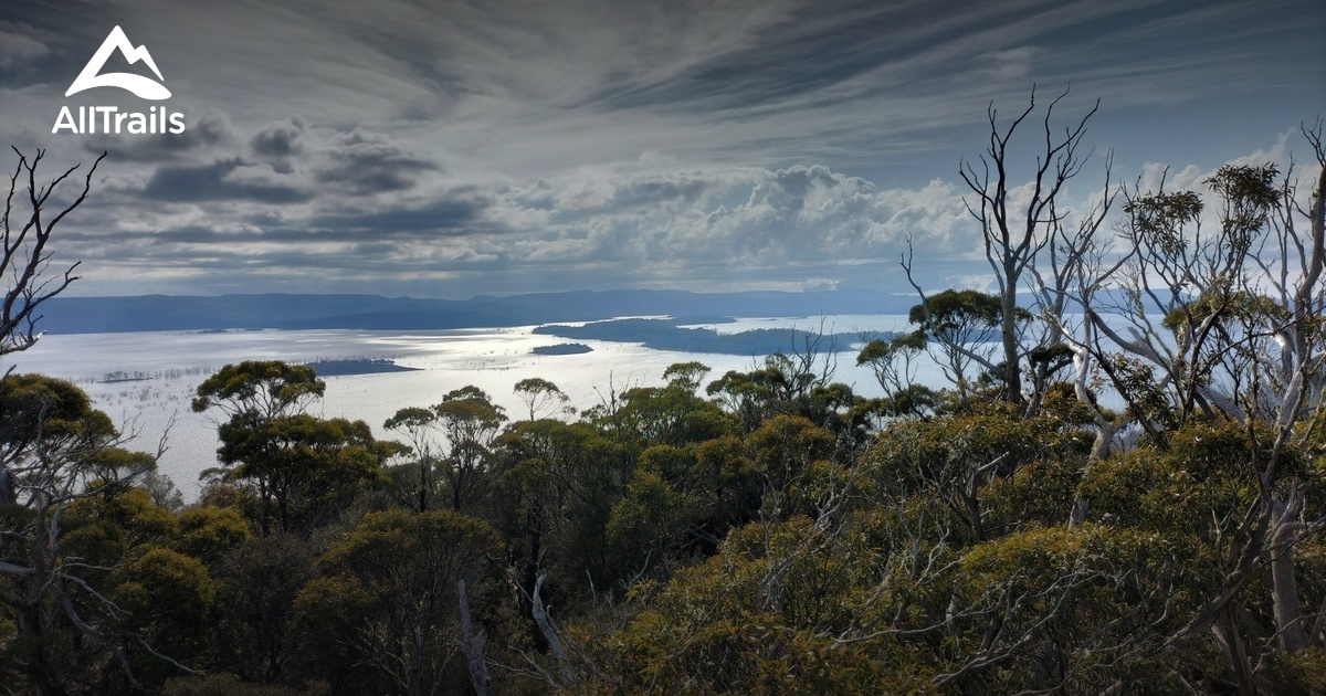 Best hikes and trails in Arthurs Lake AllTrails