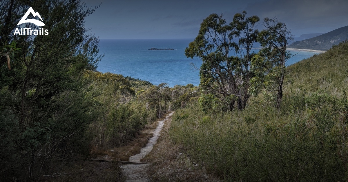 Best Hikes and Trails in Sisters Beach AllTrails