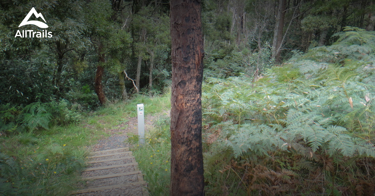 Best Trails near Blackwood, Victoria Australia AllTrails