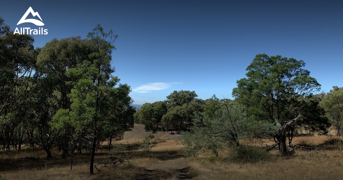 Best Hikes and Trails in Broadford AllTrails