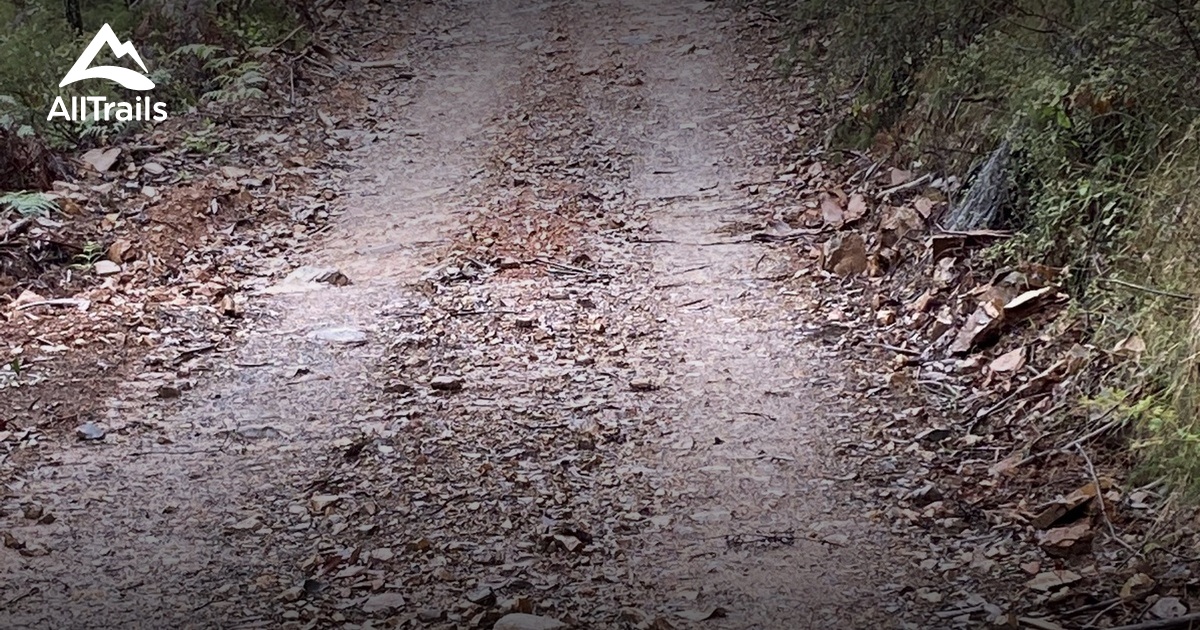 Best Hikes and Trails in Glenburn AllTrails