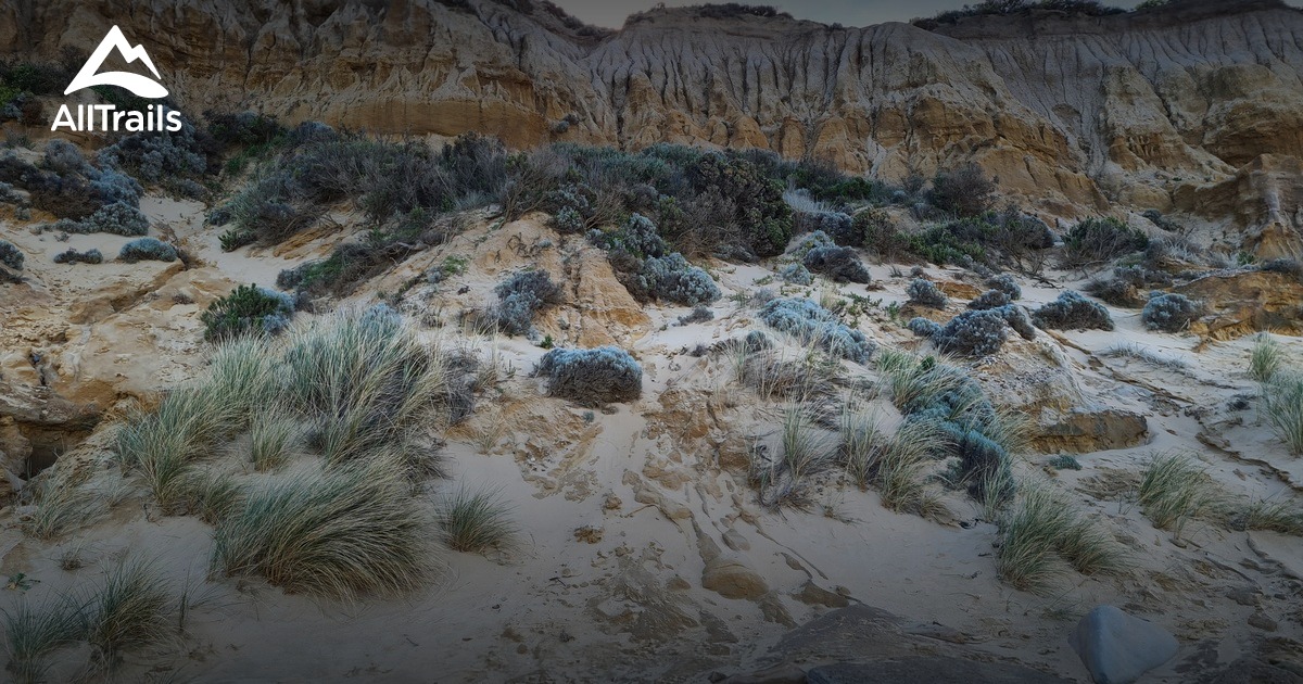 Best Trails in Lake Tyers Beach AllTrails