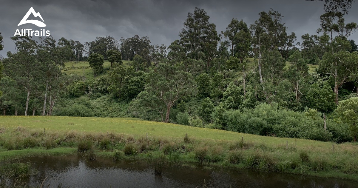 Best Hikes and Trails in Mirboo North AllTrails