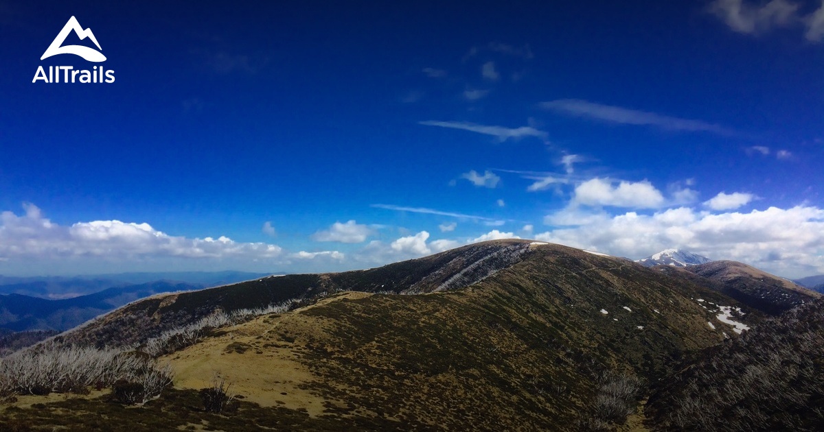 Best Trails near Mount Hotham, Victoria Australia AllTrails