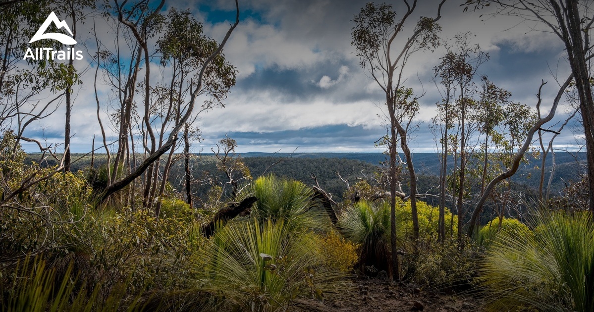 Best trail running trails in Staughton Vale AllTrails