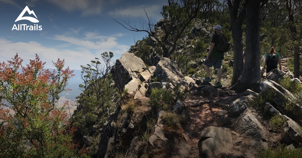 Best Trails near Taggerty, Victoria Australia AllTrails