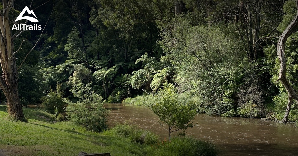 Best Hikes and Trails in Warburton East AllTrails