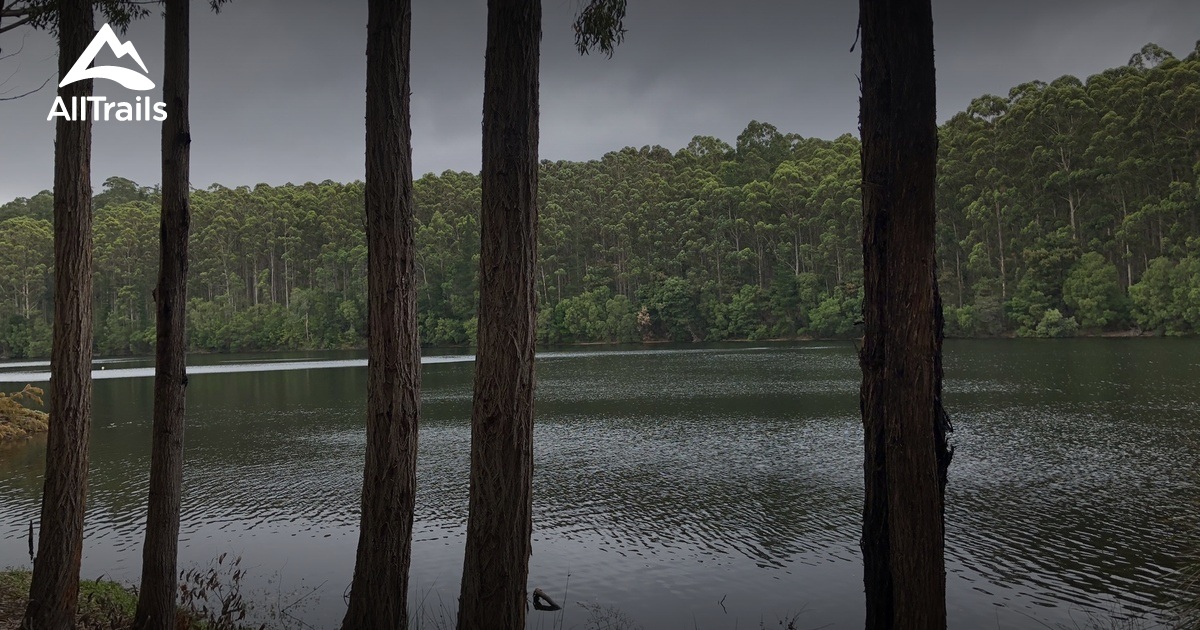 Best Hikes and Trails in Manjimup AllTrails