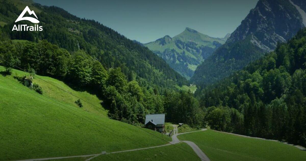 SONNTAG GERMANY visual data 7