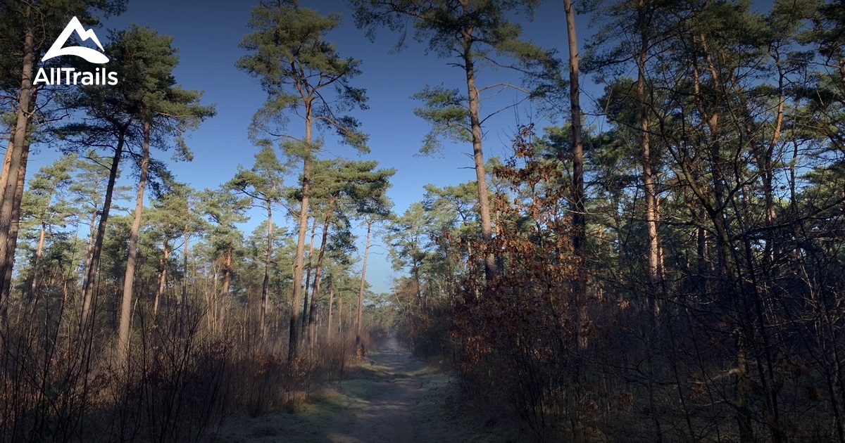 De beste wandelroutes om te wandelen in Beerse AllTrails