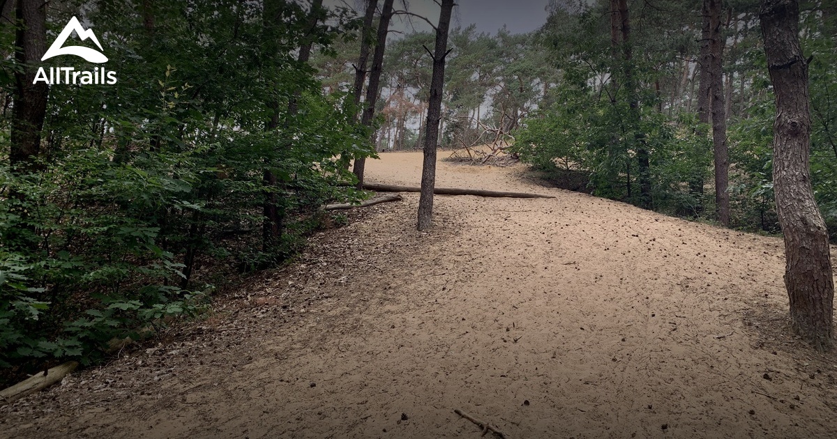 2023 Best 10 Forest Trails in Oudsbergen AllTrails
