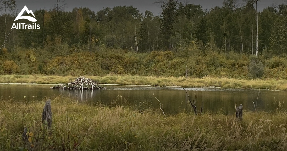 Best Easy Trails in Antler Lake AllTrails