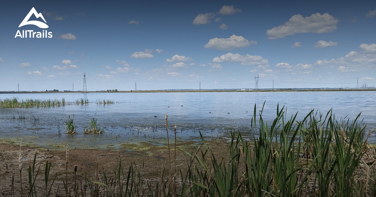 Best Hikes and Trails in Blackie AllTrails