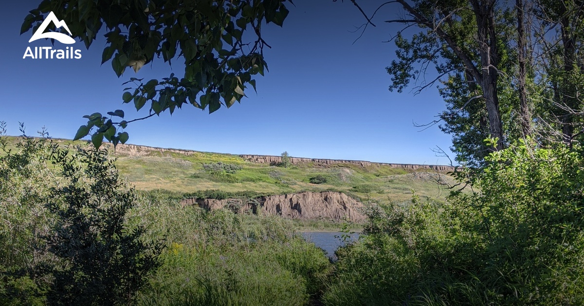 Best Hikes and Trails in Carseland AllTrails
