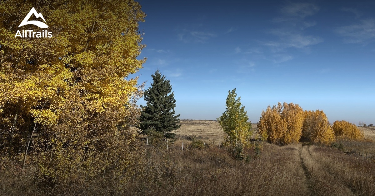 Best Hikes and Trails in Cochrane Lake Subd. AllTrails