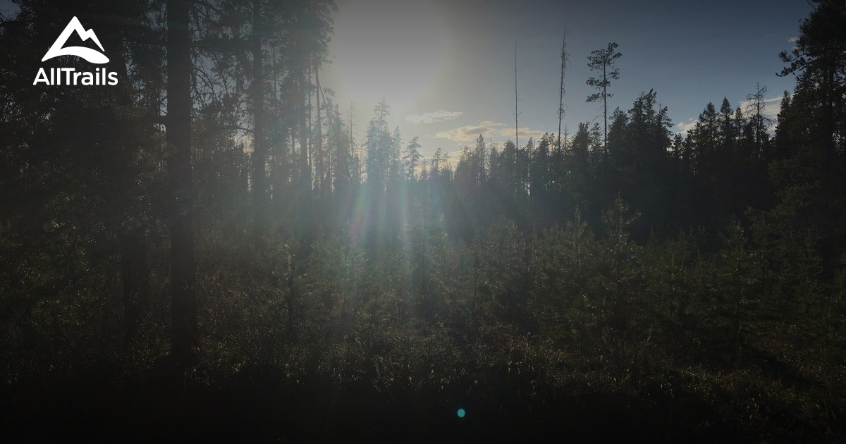 10 Best Trails and Hikes in County of Grande Prairie No. 1 AllTrails