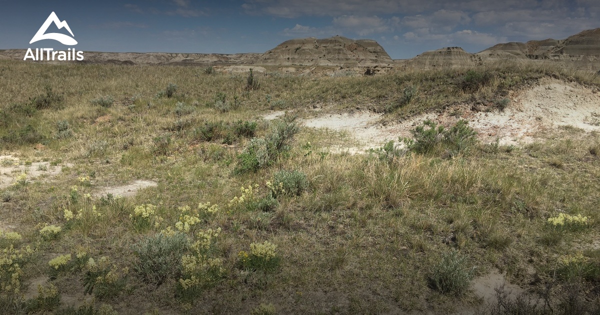 Best Hikes and Trails in County Of Newell AllTrails