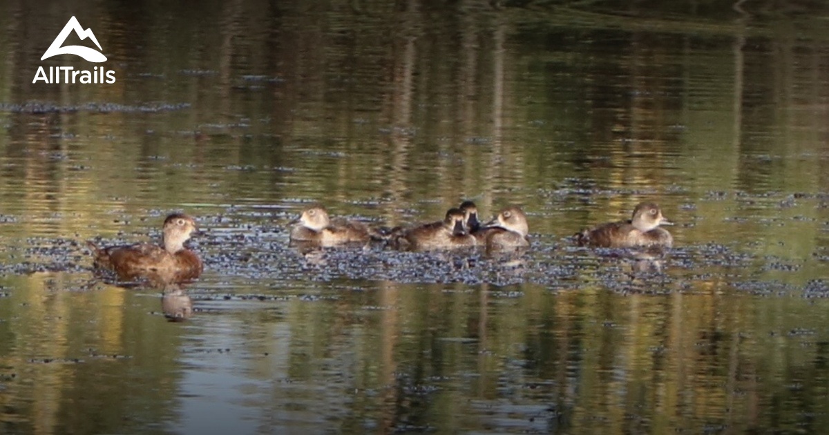 Best Walking Trails in Cremona AllTrails