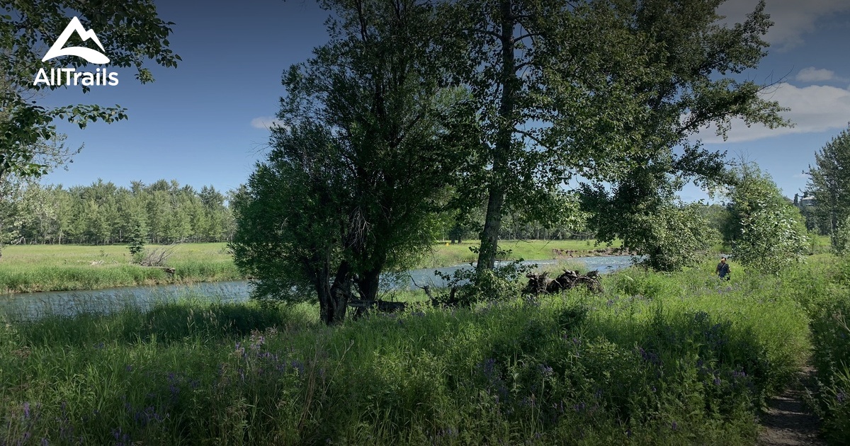 2023 Best Forest Trails in De Winton AllTrails