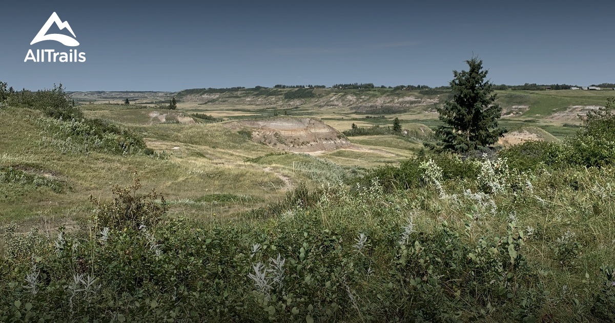 Best Hikes and Trails in Donalda AllTrails