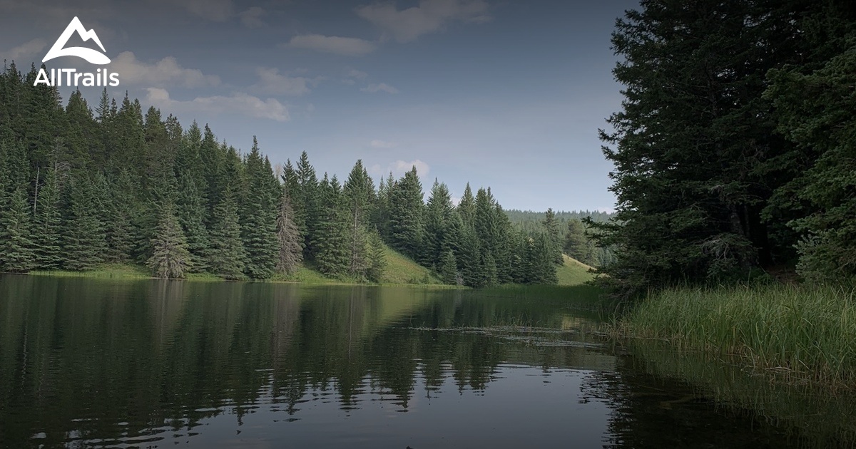 Best Hikes and Trails in Elkwater AllTrails