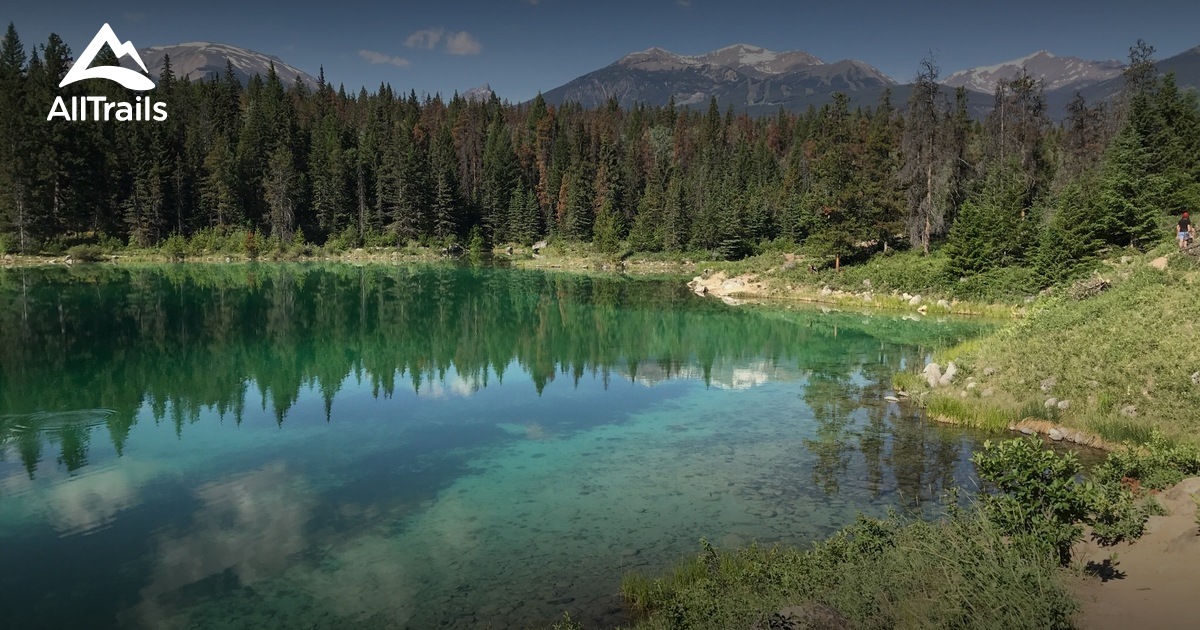 10 Best Mountain Biking Trails in Jasper AllTrails