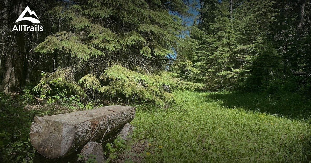 Best Hikes and Trails in Spruce View AllTrails