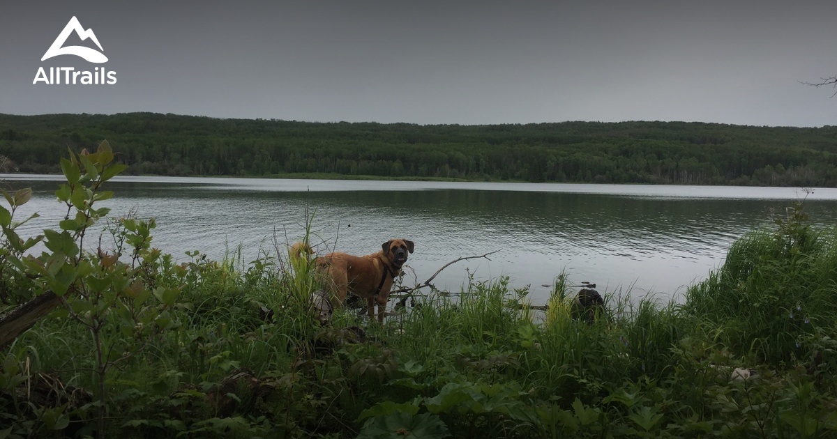Best hikes and trails in Thorhild County AllTrails